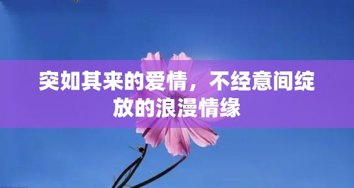 突如其来的爱情，不经意间绽放的浪漫情缘