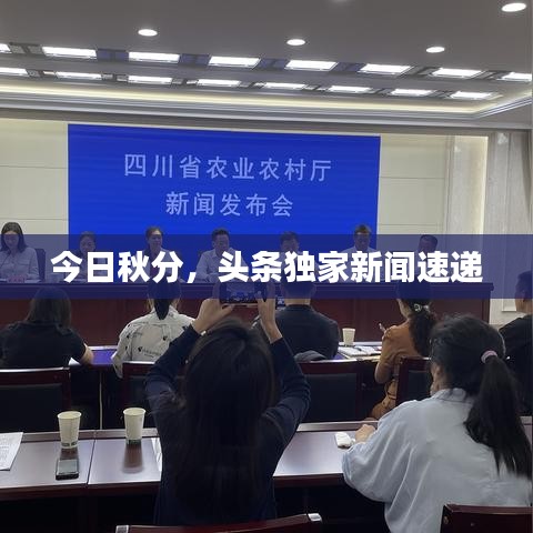 今日秋分，头条独家新闻速递