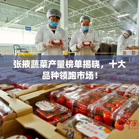 客户评价 第9页
