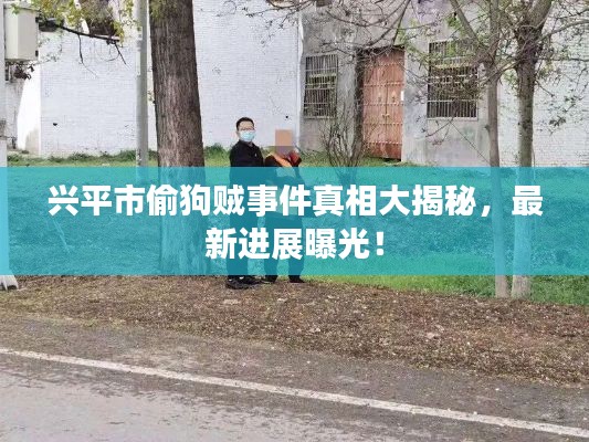 兴平市偷狗贼事件真相大揭秘，最新进展曝光！