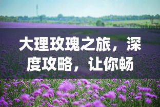 大理玫瑰之旅，深度攻略，让你畅游花海