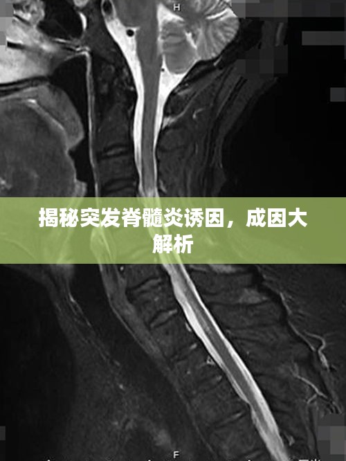 炊粱跨卫