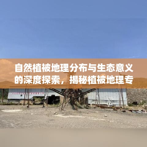 自然植被地理分布与生态意义的深度探索，揭秘植被地理专题的魅力