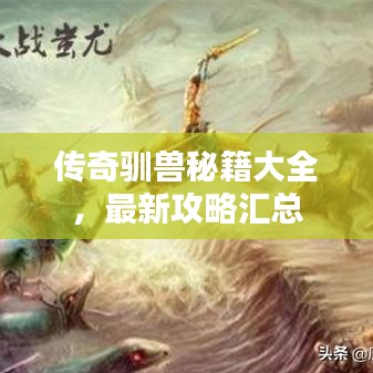 传奇驯兽秘籍大全，最新攻略汇总