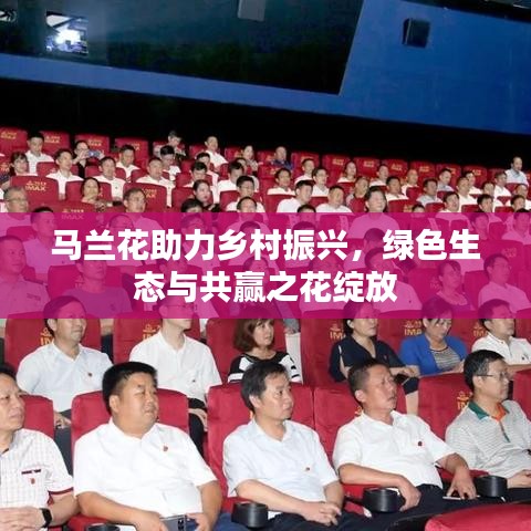 窗明几净