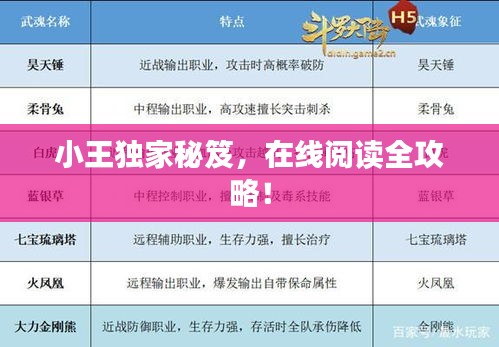 小王独家秘笈，在线阅读全攻略！