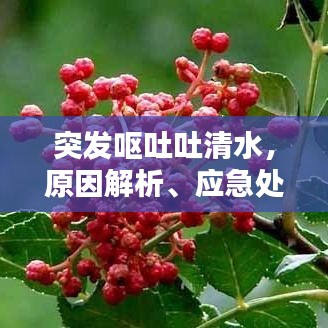 五侯七贵