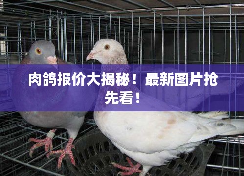 森久