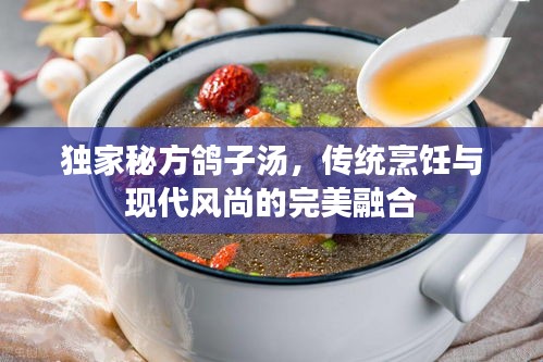 独家秘方鸽子汤，传统烹饪与现代风尚的完美融合