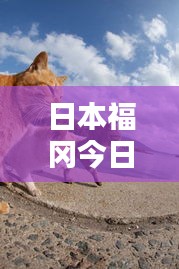 日本福冈今日最新动态速递