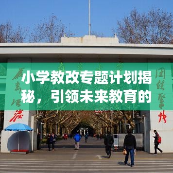 小学教改专题计划揭秘，引领未来教育的创新与变革之路