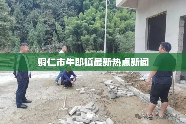 铜仁市牛郎镇最新热点新闻