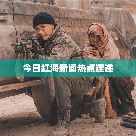今日红海新闻热点速递