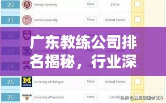 广东教练公司排名揭秘，行业深度解析与权威榜单