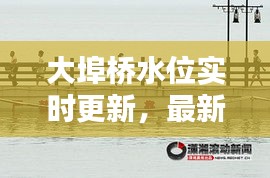 大埠桥水位实时更新，最新消息掌握！