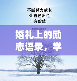 婚礼上的励志语录，学习、成长与爱的智慧箴言