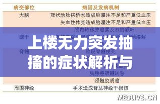 上楼无力突发抽搐的症状解析与健康警示须知