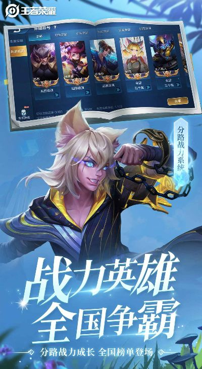 王者荣耀官方网下载,动态评估说明_FHD版_v6.263