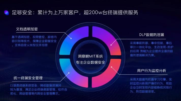 网络安全顾问眼中的丁丁软件免费下载官方，数据决策执行云端版_v6.500，全面解析网络威胁与防护机制