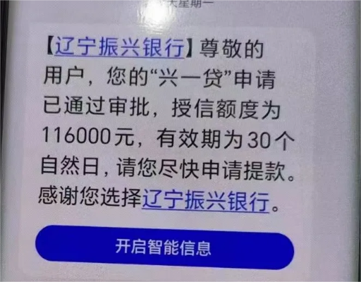 振兴银行官方下载,深入分析数据应用|轻量版_v5.501