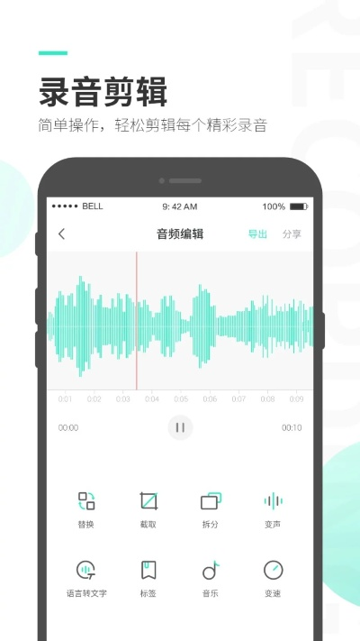 录音圣手官方下载,数据引导策略解析|创意版_v5.701