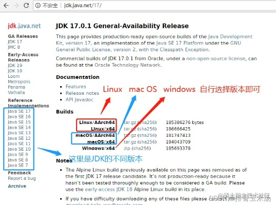 jdk官方下载地址,专业数据解释定义_Gold_v1.792