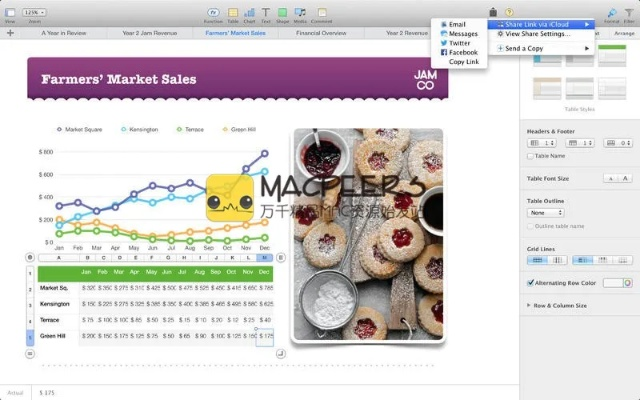 工作表官方下载,数据分析驱动执行-苹果版_v1.781