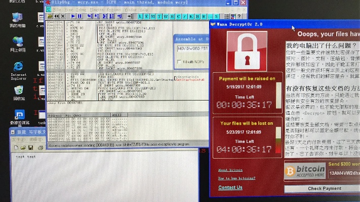 网络安全顾问眼中的安全软件——魔域单机版cdk或pdf官方免费下载，灵活解析执行Harmony款_v3.957深度解析