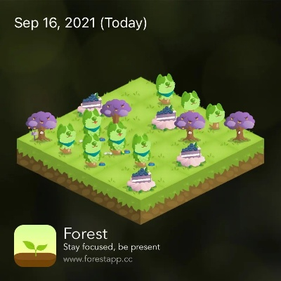 forest版本与qq官方下载官网,实践策略实施解析&amp;UHD版_v1.667