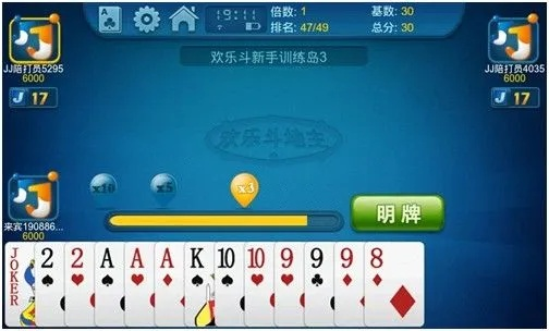 专业级斗地主单机版iPad与UULIVE下载官方，行业标准的超强工具体验