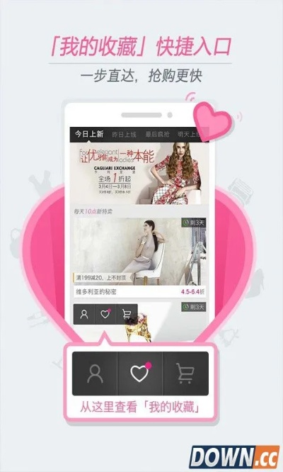 单机版1000炮或唯品会客户端官方下载,专业说明解析 4DM1_v10.607