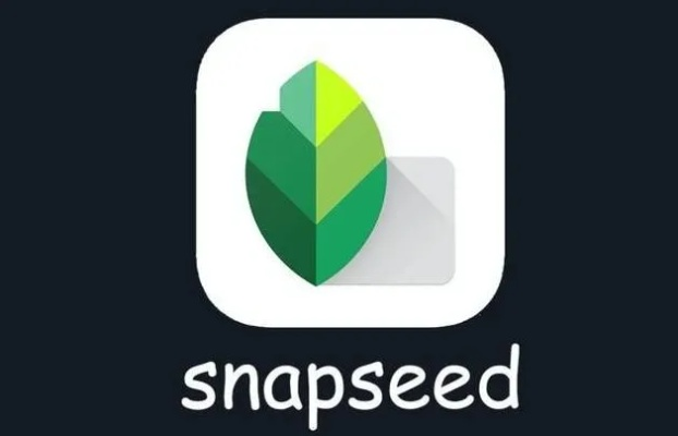ios版本模拟器与Snapseed苹果下载官方必备合集